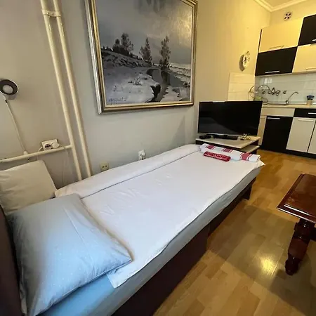 Seckovic Dorcol Apartment Belgrade